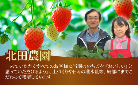 【先行予約】いちご あまりん 2箱 苺 あまりん 北田農園 所沢市