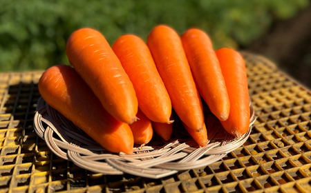 旬の野菜 定期便 計5回 | 野菜定期便Farm Pride