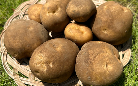 旬の野菜 定期便 計5回 | 野菜定期便Farm Pride