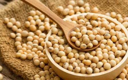 醬油 金ヤマホしょうゆ 1L×6本 | 深井醤油