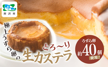 カステラ 極上うずら卵のとろ~り生カステラ 1箱 | うずらの卵 カステラ しっとり スイーツ