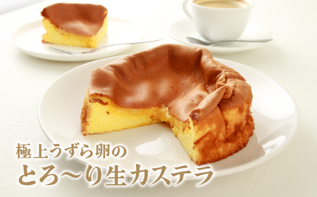 カステラ 極上うずら卵のとろ~り生カステラ 1箱 | うずらの卵 カステラ しっとり スイーツ