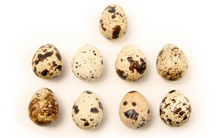 御吉兆うずら～麺 中太ちぢれ麺2箱 | ご当地ラーメン うずらの卵 埼玉県 所沢市