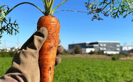 にんじん 冬ニンジン 5kg | にんじん 所沢市