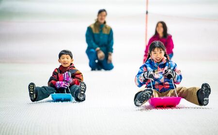 狭山スキー場 親子ワンデーチケット2枚  (中学生以上1枚・3歳～小学生1枚) | スキー スノボ スキー スノボ スキー スノボ スキー スノボ 埼玉県 所沢市
