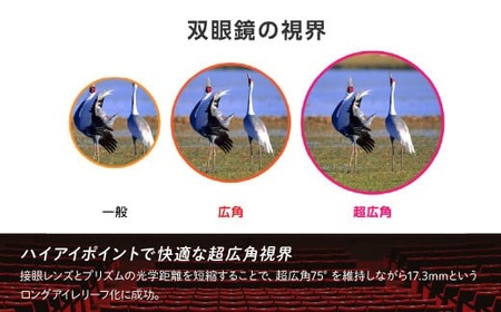 【ふるなび限定】双眼鏡 ビクセン SW10×25WP | 双眼鏡 vixen FN-Limited-PR