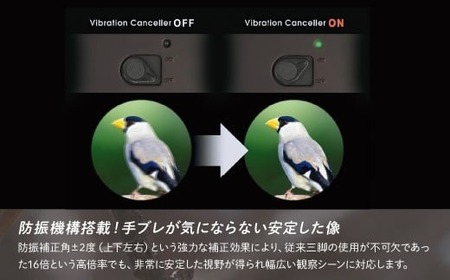 【ふるなび限定】ビクセン 正規品 軽量 双眼鏡 ATERAII EDH16x50WP ブラックブラウン | 所沢 双眼鏡 ブランド おしゃれ 人気 FN-Limited-PR