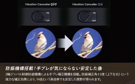 【ふるなび限定】防振双眼鏡 ビクセン ATERAII H14x42WP ブラック | 双眼鏡 アテラ vixen FN-Limited-PR