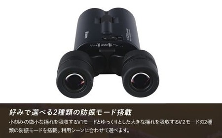 【ふるなび限定】防振双眼鏡 ビクセン ATERAII H14x42WP ブラック | 双眼鏡 アテラ vixen FN-Limited-PR