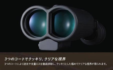 【ふるなび限定】防振双眼鏡 ビクセン ATERAII H14x42WP ブラック | 双眼鏡 アテラ vixen FN-Limited-PR