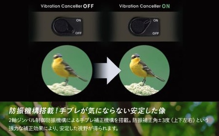 【ふるなび限定】 防振双眼鏡 ビクセン ATERAII H10x21 グレージュ | 双眼鏡  vixen FN-Limited-PR