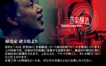クラフトビール 豪華な全種類入り 6本セット 燻製 | クラフトビール 地ビール