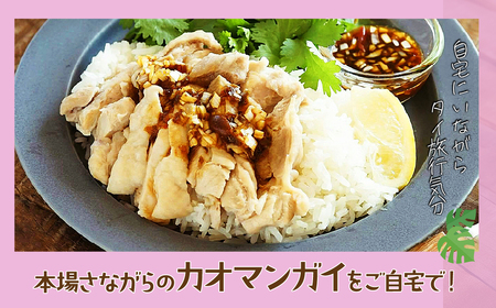 渋谷カオマンガイ 3食入 | 所沢 カオマンガイ 鶏肉 タイ料理