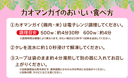渋谷カオマンガイ 3食入 | 所沢 カオマンガイ 鶏肉 タイ料理