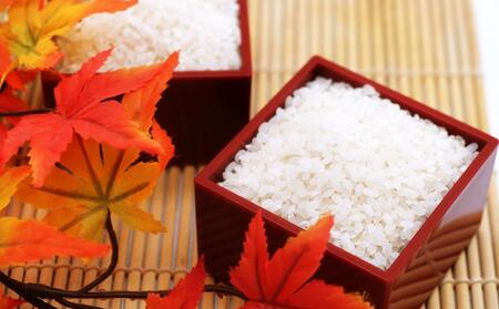 埼玉県産 金芽米(彩のきずな)【BG無洗米】10kg[52210913] 