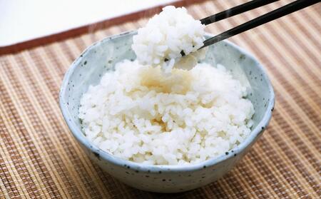 埼玉県産 金芽米(彩のきずな)【BG無洗米】10kg[52210913] 