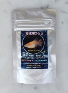 メダカ「大輝」4匹セット[52210997]