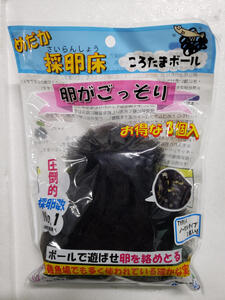 メダカ「大輝」4匹セット[52210997]