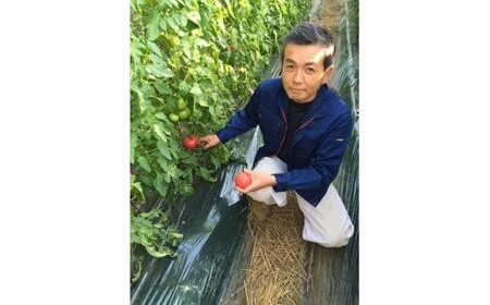 【完熟とまとの新井園】桃太郎トマト 2kg[52210248]