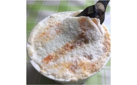 【完熟とまとの新井園】塩とまとアイス(8個入り)[52210337] 野菜 トマト お菓子 