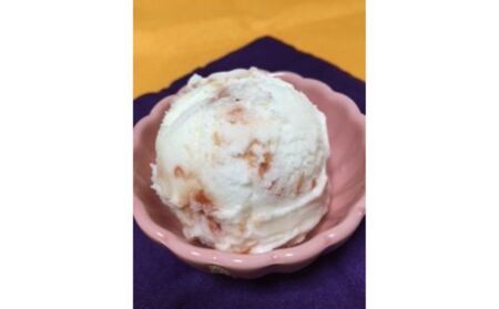 【完熟とまとの新井園】塩とまとアイス(8個入り)[52210337] 野菜 トマト お菓子 