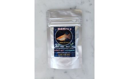 メダカ「ダルマメダカ」 ミックス5匹セット[52210550] 生き物生き物 