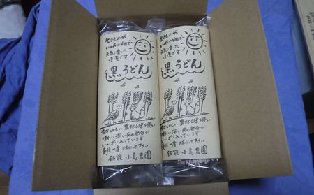 自然豊かな奥武蔵で育った小麦で作ったうどん(乾麺)【太麺】[52210603] 麺類 