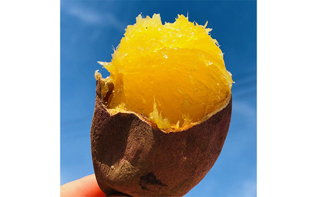 まるごとやきいもアイス(べにはるか)[52210636] お菓子 野菜 サツマイモ さつまいも 