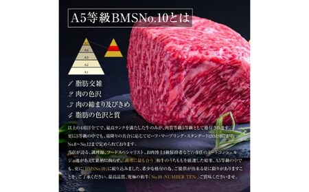 A5等級 BMSNo.10限定 黒毛和牛もも塊肉 ブロック 500g | 埼玉県飯能市