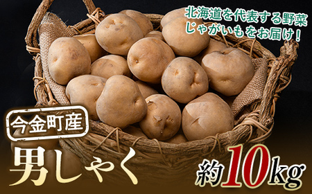 北海道今金町産男爵いも 約10kg 【10月下旬以降順次出荷】 北海道産 じゃがいも ジャガイモ だんしゃく 野菜 ほくほく しっとり 常備野菜 F21W-335