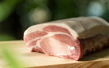 半島食堂『十八番』ギフトセット 米粉 麺 パスタソース ボロネーゼ ラー油 レトルト 簡単 時短 手軽 F21W-480