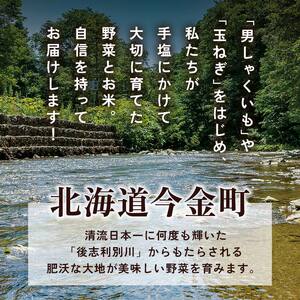 北海道産旬のこだわり野菜とお米1年定期便 男爵 玉ねぎ ふっくりんこ 軟白長ネギ アスパラ ななつぼし ミニトマト ブロッコリー 野菜 米 旬 F21W-490
