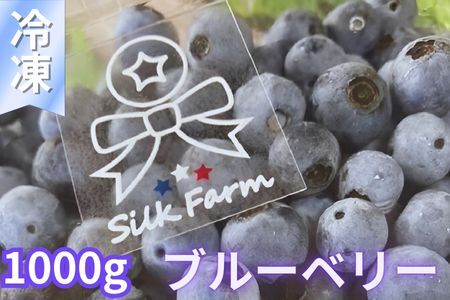 シルクファーム産 冷凍ブルーベリー1000g（500g×2パック） | 埼玉県