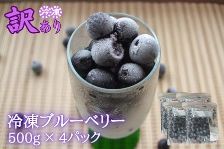 【訳あり】シルクファーム産　冷凍ブルーベリー2000g（500g×4パック）