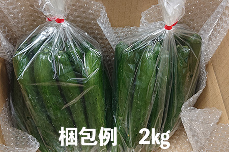 新鮮きゅうり2kg【特別栽培農産物】