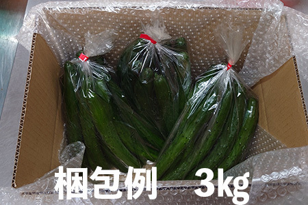 【クール冷蔵】新鮮きゅうり3kg【特別栽培農産物】 