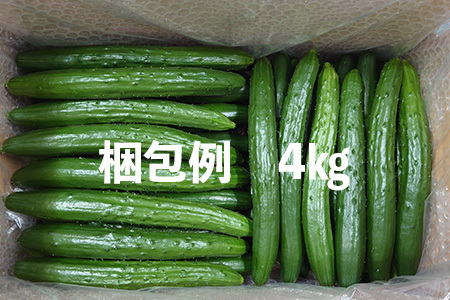 【クール冷蔵】新鮮きゅうり4kg【特別栽培農産物】 