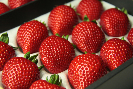 発送1月～【先行受付】あまりん 300～350ｇ（梅）　いちご あまりん いちご