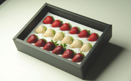 発送1月～【先行受付】「あまりん」＆「天使のいちご」300～350ｇ　あまりん 