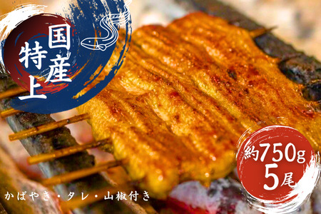 【鰻】加須の名店うなぎ荒川の『国産特上うなぎ蒲焼5尾』鰻