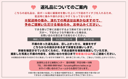 『べにたま』埼玉生まれの希少いちご 1000g 以上【潰れが気にならない方限定】 いちご イチゴ 苺