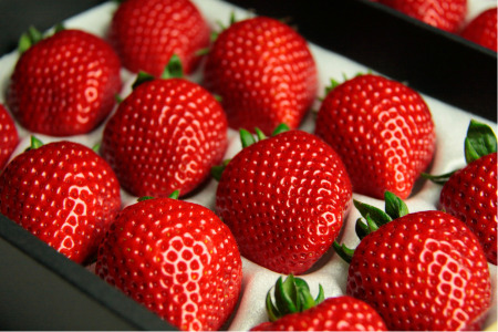 発送1月～【先行受付】あまりん 350～400g（松）　いちご あまりん いちご