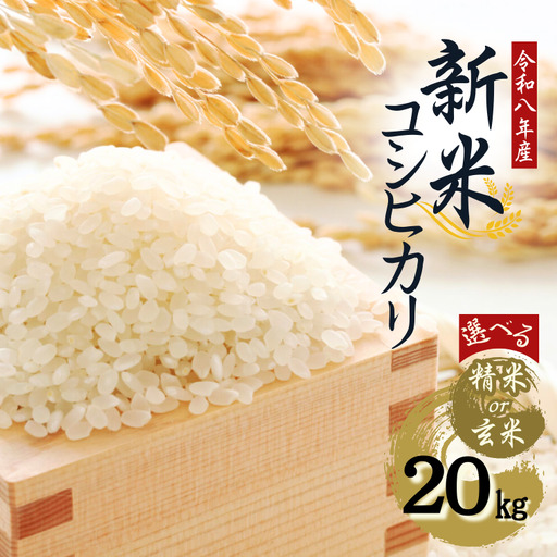 令和8年産】先行予約受付中！水野農園の加須市北川辺産 コシヒカリ 20 