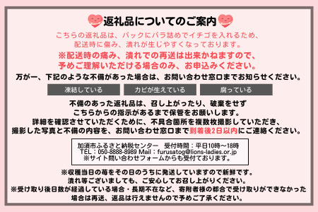 埼玉生まれの希少いちご『あまりん　大粒』（450ｇ以上）【潰れが気にならない方限定】