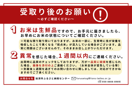 【令和７年産】加須市産　彩のきずな　精米10kg