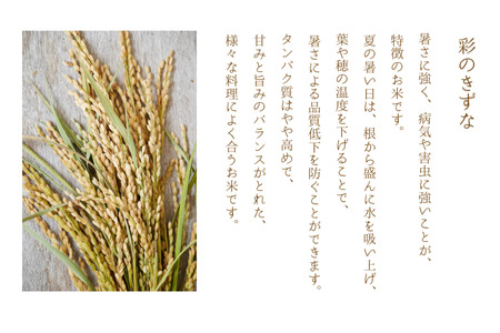【令和７年産】加須市産　彩のかがやき・彩のきずな　精米10kg（各5 kg）