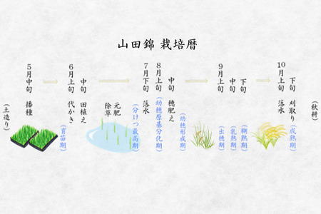 加須産の酒米と果実だけでつくったお酒 梅酒 箱入500ml