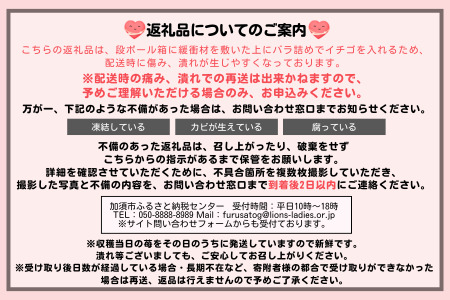 埼玉生まれの希少いちご『かおりん』30～80粒入り（1000g以上）【潰れが気にならない方限定】