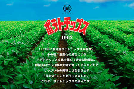 湖池屋　60gポテトチップスのり塩（12袋×3ケース）60g×12袋入 