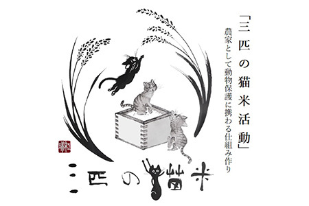 三匹の猫米/動物保護に携われる/特別栽培米 10kg